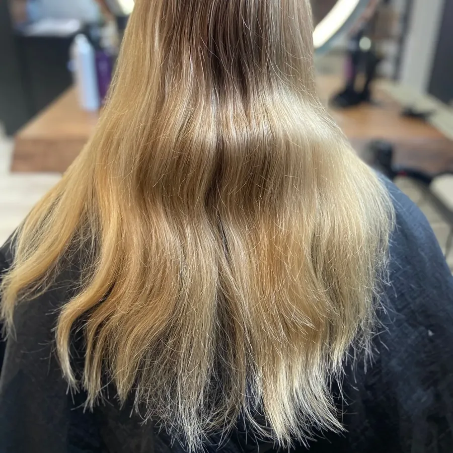 Lange blonde Haare mit Str&auml;hnen, von hinten fotografiert.